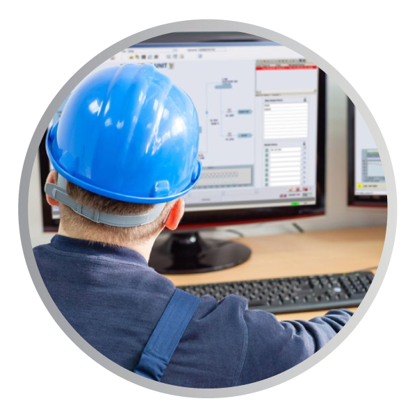 Custom Batch Software Enhances DeltaV™ Upgrade